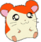 profile-picture