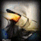 profile-picture