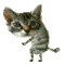 profile-picture