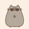 profile-picture