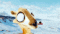 profile-picture