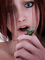 profile-picture