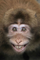 profile-picture