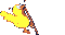 profile-picture