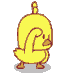 profile-picture