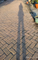 profile-picture