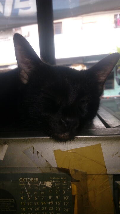  Agnez Mo ngaku Tak Punya Darah Indonesia, Dibandingan dengan Niki &amp; Rich Brian