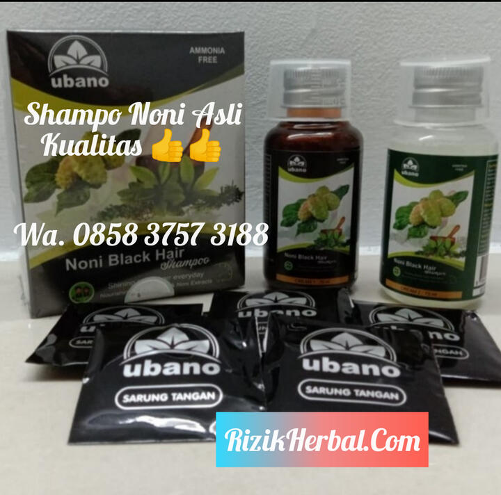 Jual shampo noni asli Ubano Batam, pekanbaru, Bekasi, curup Selatan, Bali, manado