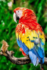 profile-picture
