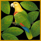profile-picture