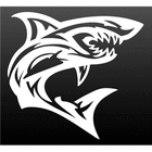 shark