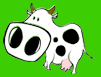 Kaskus profile picture for @samy