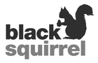 BlackSquirrel