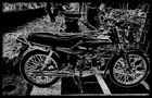 profile-picture