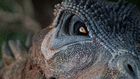 profile-picture