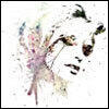 profile-picture
