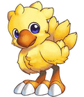 ��chocobo��