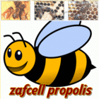 zafcell