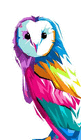 profile-picture