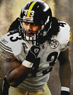 polamalu