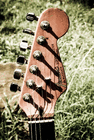 profile-picture