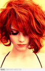 profile picture user
