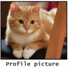 profile picture user