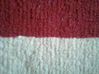 profile-picture