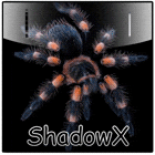 ShadowX