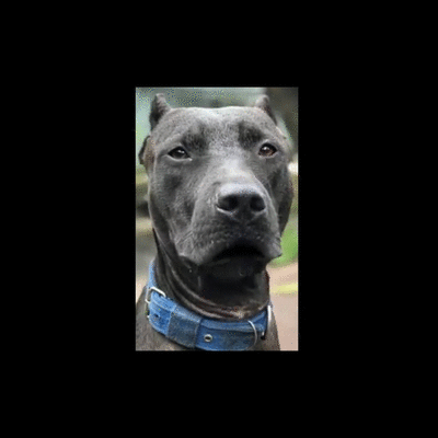 profile picture user