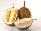 Duriankuning
