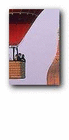 profile-picture