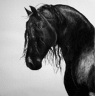 blackhorse27