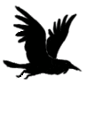 Flying.Crow