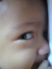 mbahparlan4499