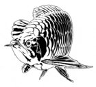 profile-picture