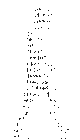 Yusakvian