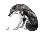 Rockberrywolf