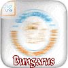 Bungarus