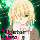 alligatorgaara