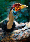 profile-picture