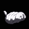 chocho.hito