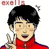 exells