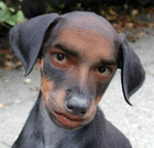 profile-picture