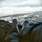 profile-picture