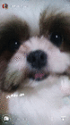 profile-picture