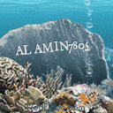 AlAmin7805