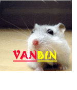 Vanbin