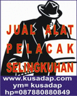 kusadap.com