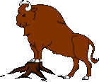 bison1986